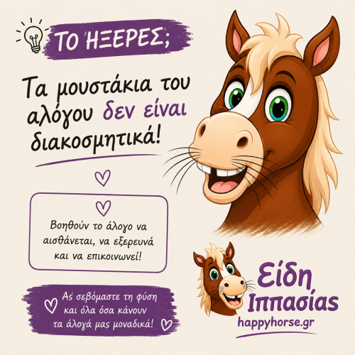 A horse's whiskers are not just for looks!
