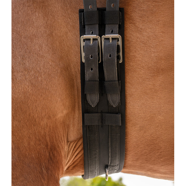 Economic dressage girth