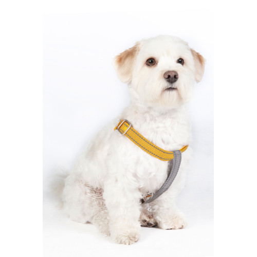 Dog harness, Step-In -Anam Cara- nylon