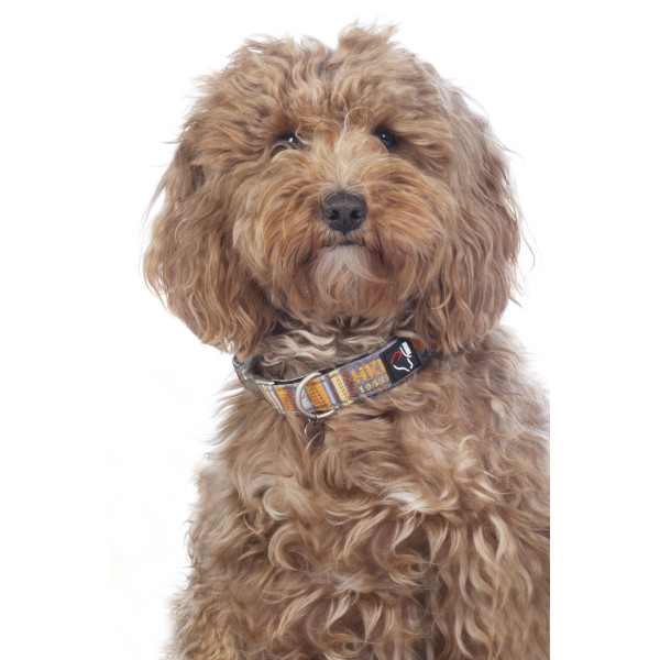 Dog collar -Anam Cara- printed