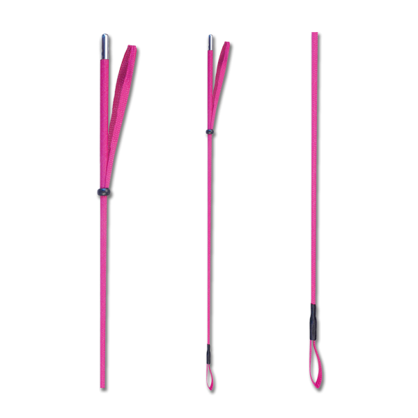 Riding Whip