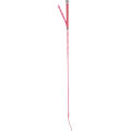 Children"s dressage whip with hearts