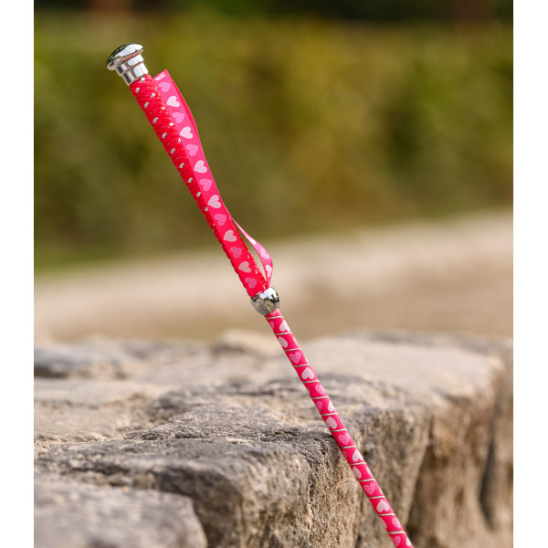 Children"s dressage whip with hearts