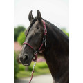 Head collar -Carlotta-