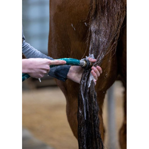 HOW TO WASH YOUR HORSE CORRECTLY: TIPS FOR SAFE CARE