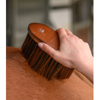 Anti-Dust Brush HardWood