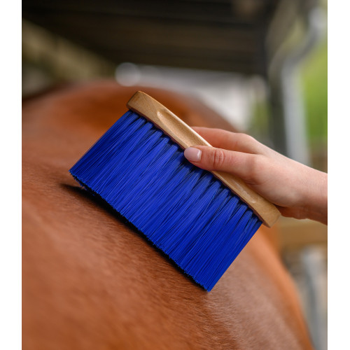 Dust Brush