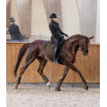 Comfort Fit dressage boot