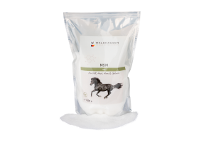 Waldhausen MSM για Άλογα 1kg | Υποστήριξη Αρθρώσεων, Οπλών & Τριχώματος