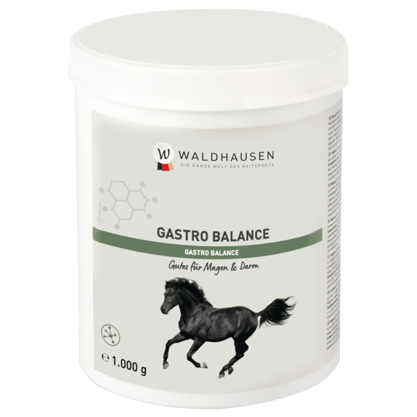 Gastro Balance, 1 kg