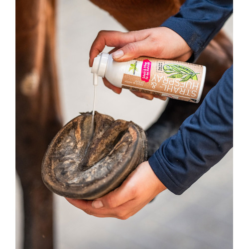 Bense & Eicke Σπρέι Χελιδόνας 200ml