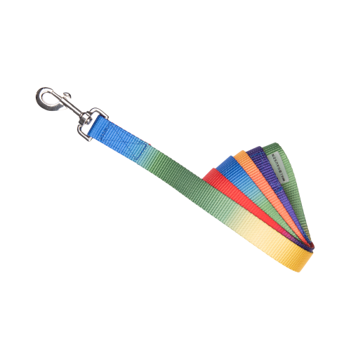 Rainbow Σχοινί/Οδηγός