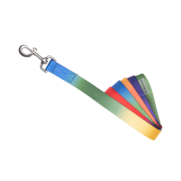 Rainbow Σχοινί/Οδηγός