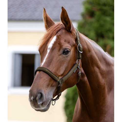 Athletic Halter