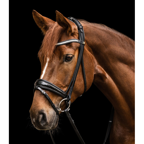 Waldhausen S-Line Bridle Magic