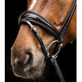 Waldhausen S-Line Bridle Magic