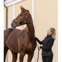 Δερμάτινο Καπίστρι Royal Waldhausen S-Line