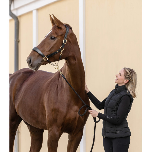 Δερμάτινο Καπίστρι Royal Waldhausen S-Line