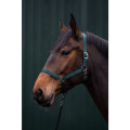 Head collar -Brisbane-
