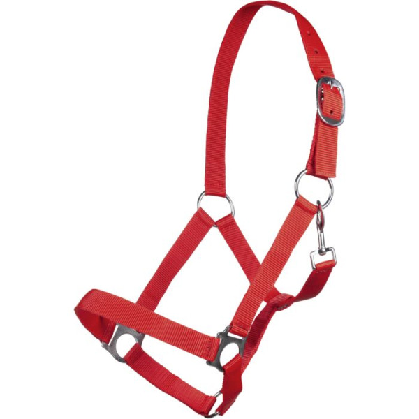 Head collar -Brisbane-