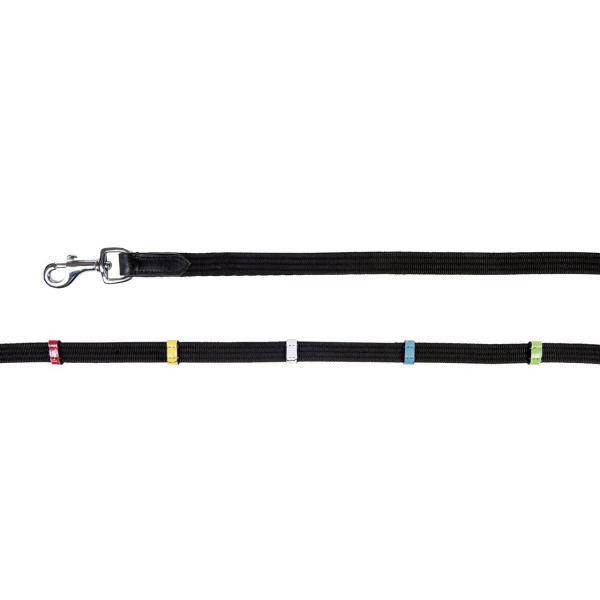 Web reins with coloured loops