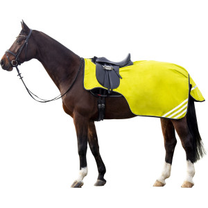 Exercise sheet Reflective with fleece lining