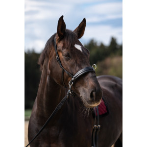 Comfort Εκπαιδευτικό Καπίστρι Cavesson