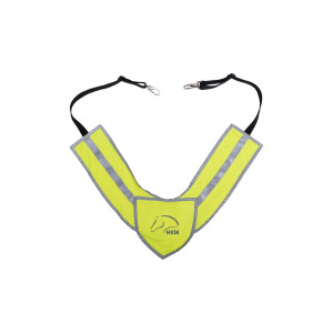 Breastplate Reflective