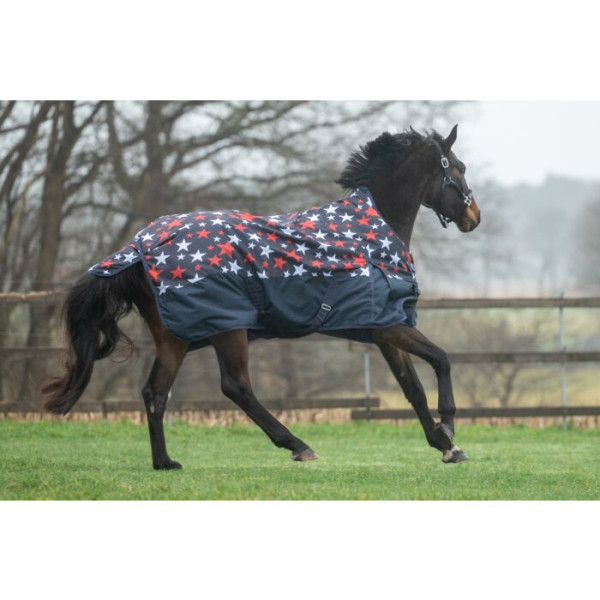 Turnout rug -Chester- 600D, 100g filling