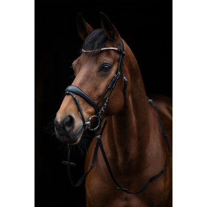 Bridle -Kopenhagen-