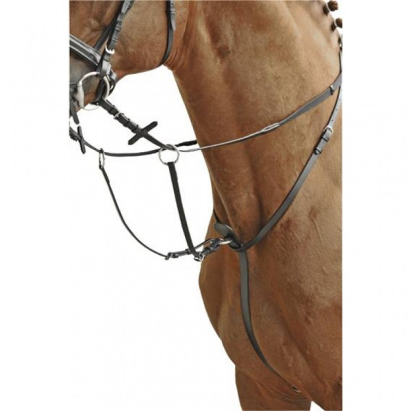 Martingale, leather