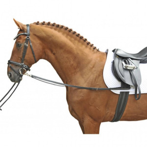 Side reins