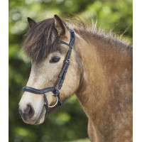 Ανατομικό Χαλινό για Πλαγιοτροχαστές