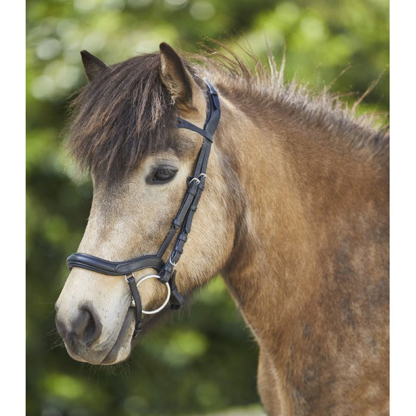 Anatomical Bridle