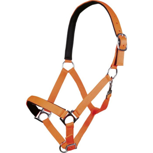 Head collar Stars Softice