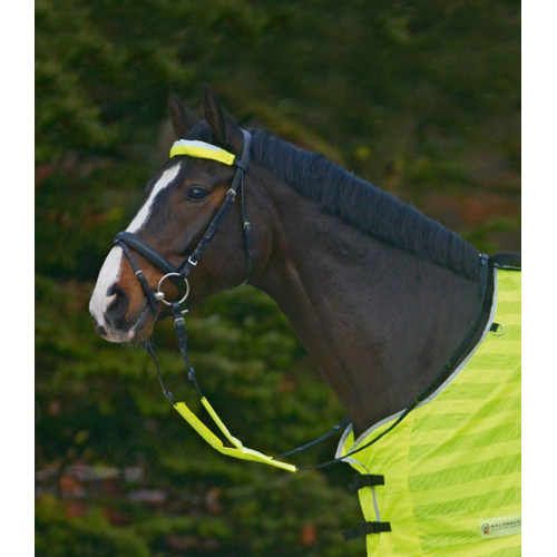 REFLEX Bridle-Set