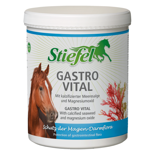 Gastro Vital