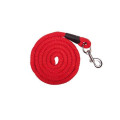 Lead rope Aachen