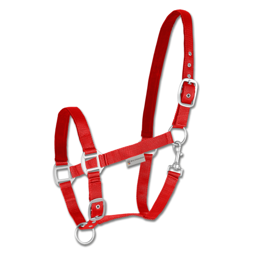 Halter Satin