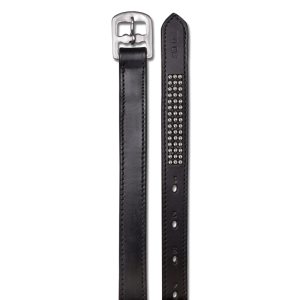 Silverstar Stirrup Straps