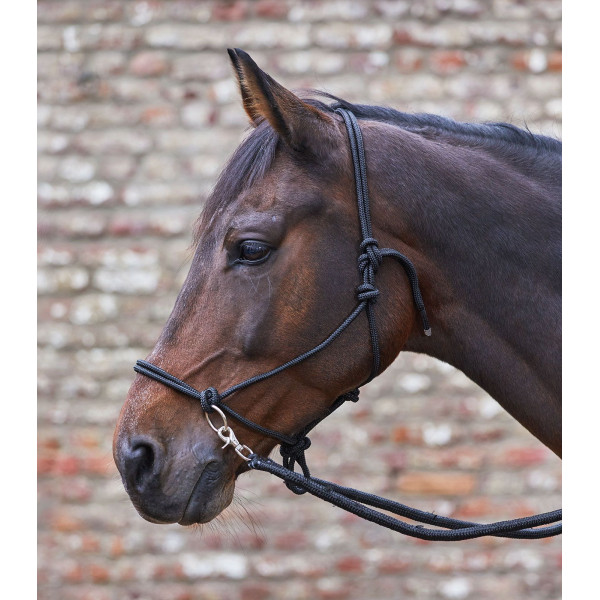 Knotted Halter With Reins