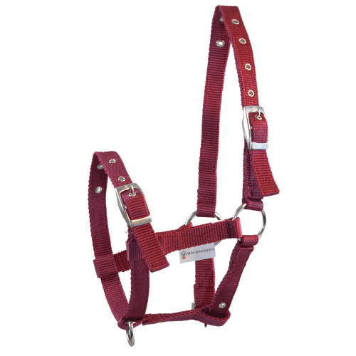 Halter Triple For Foals