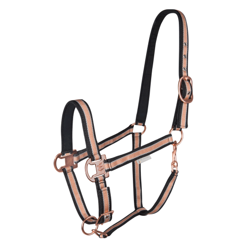 Shine Καπίστρι