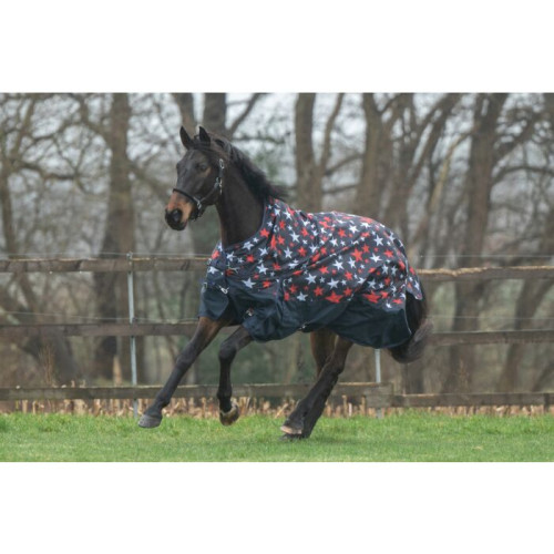 Foal rug -Professional- with polar fleece lining