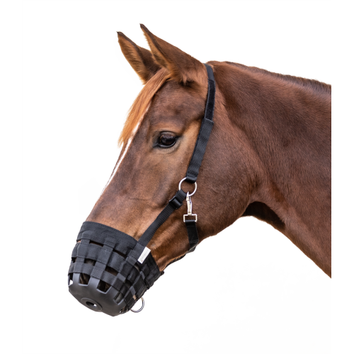 Μάσκα Διαίτης