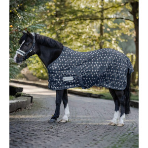 Lucky Fly Rug