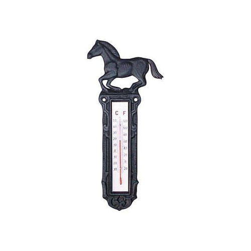 Cast iron thermometer