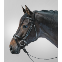 Δερμάτινο Χαλινό Lifestyle