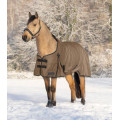 ARCTIC Turnout Rug