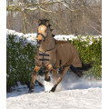 ARCTIC Turnout Rug